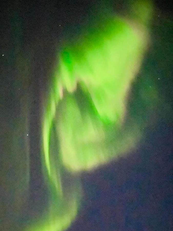 Idyllisk Sjohus Pa Naurstad Bodø Екстериор снимка