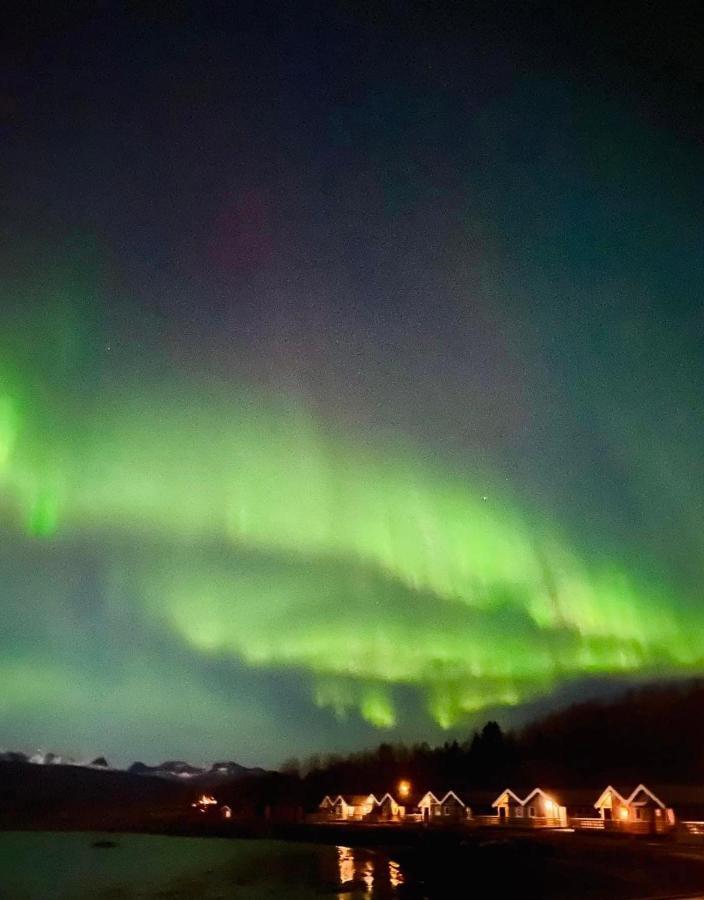 Idyllisk Sjohus Pa Naurstad Bodø Екстериор снимка